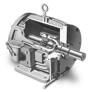 Formsprag Overrunning Clutches CDU